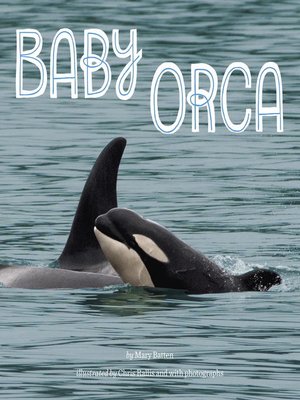 cover image of Baby Orca